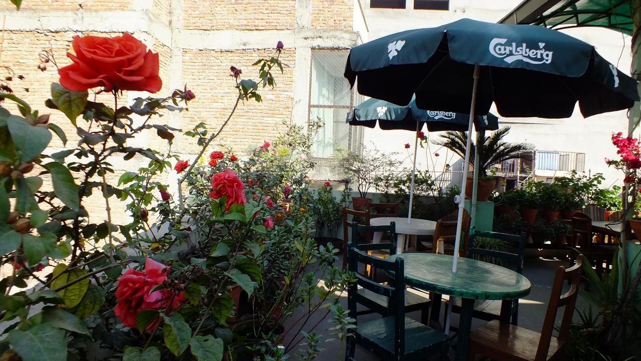 Hotel Dolphin Kathmandu Ngoại thất bức ảnh